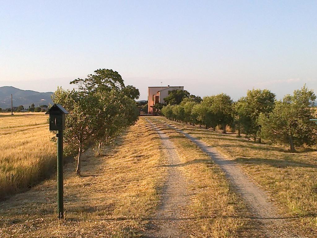 Casa di campagna Casale Golfo Follonica Elba Piombino