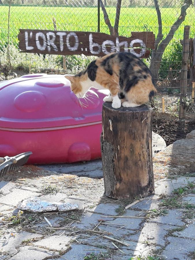 Casa di campagna Casale Golfo Follonica Elba Piombino